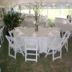 Simple setting with tall branchy centerpieces, white party chairs, and white stripe tablecloths